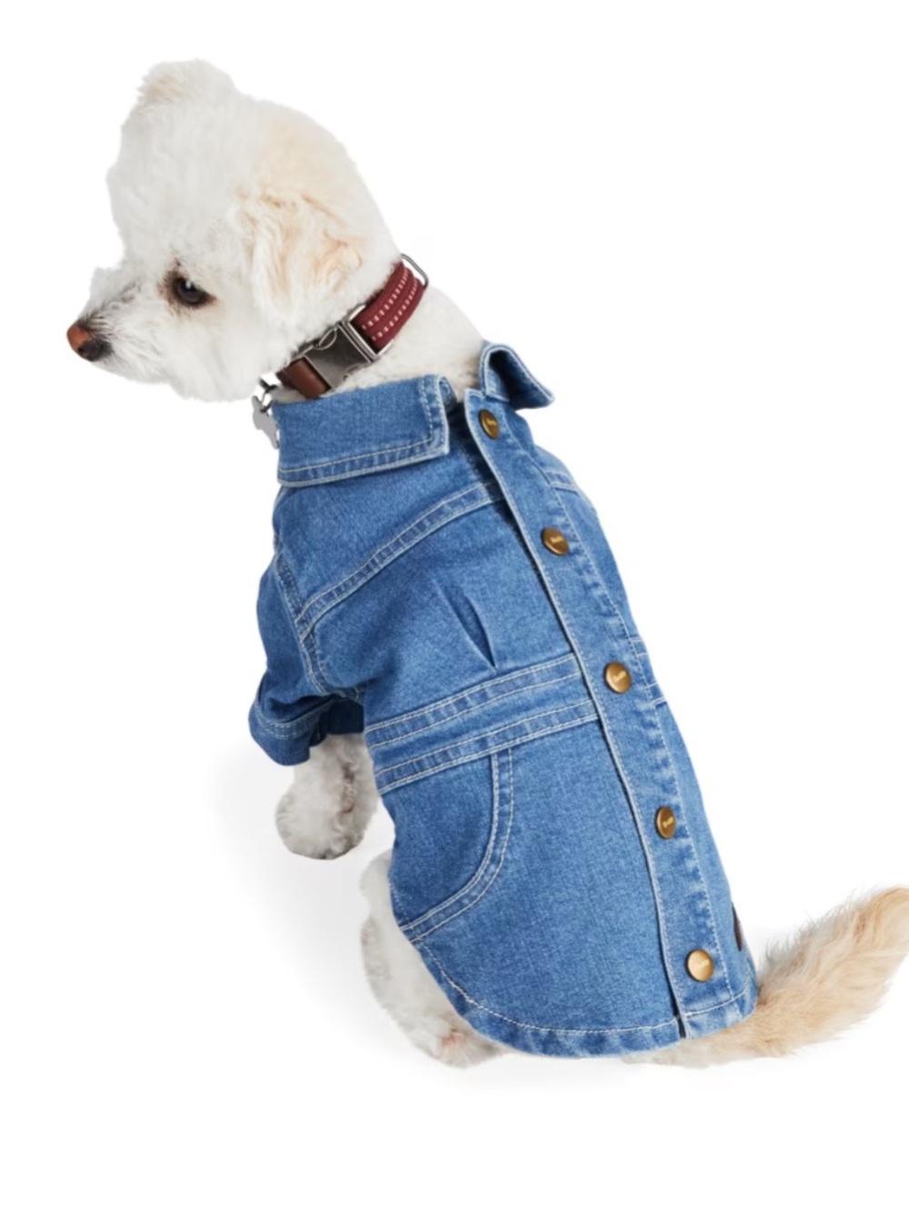 New Reddy denim dog dress M